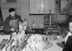 Arthur Kjevik bearbeider fisk