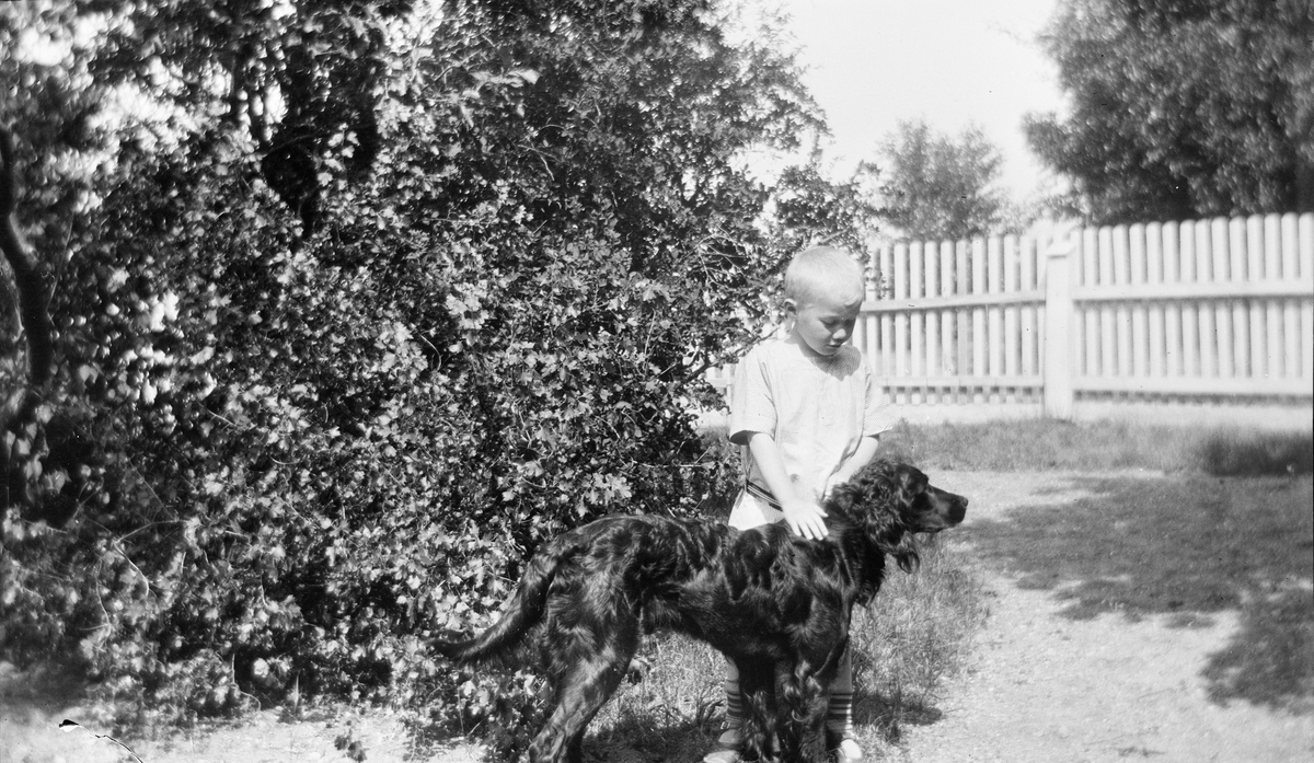 Iacob Ihlen Mathiesen står i en hage og klapper en hund, trolig en gordon setter. Bak hunden og gutten sees hagetrær og et stakittgjerde.