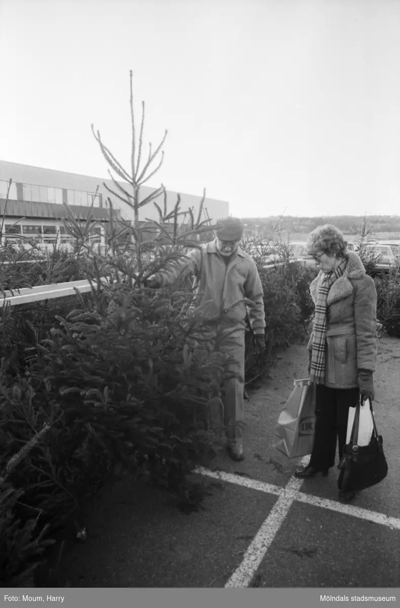 Försäljning av julgranar utanför i IKEA i Kållered, år 1983. "Birgitta Lundin och Gunnar Engelbrektsson tittar på julgranar."

För mer information om bilden se under tilläggsinformation.
