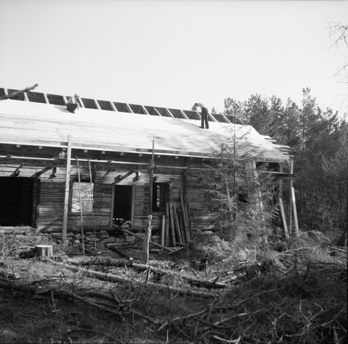 Dokumentasjons-serie av flyttinga av Ytterlandstova til Sunnmøre Museum våren 1977.