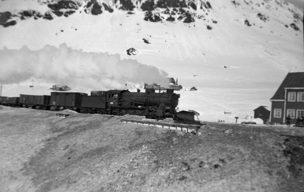 Godstog fra Bergen ved Upsete, trukket av damplokomotiv type 39a nr. 308.