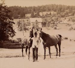 En mann holder to hester.