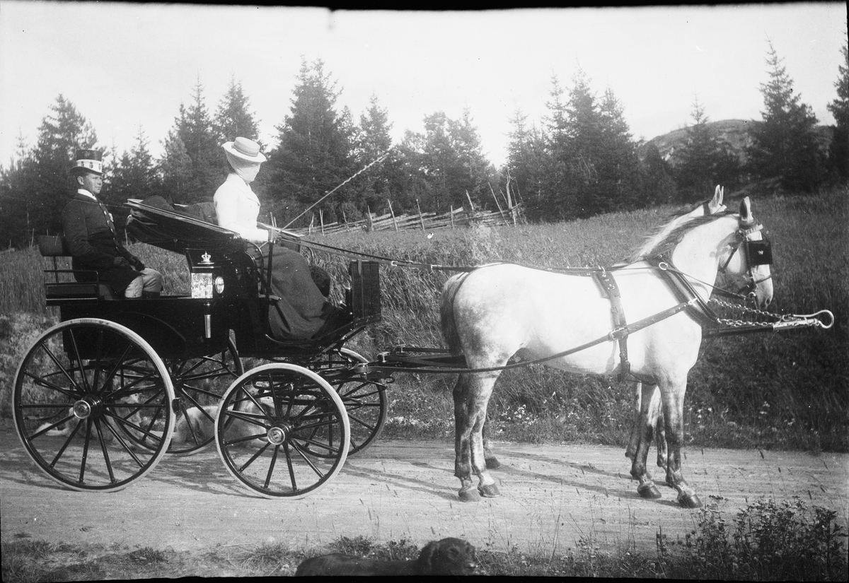 Drottning Victorias bilder. Drottning Victoria kör ett ekipage, häst och vagn.