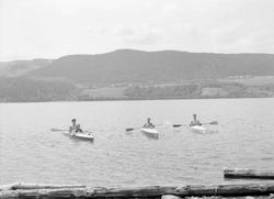 Fra Mosodden ved Mjøsa. Kajakkpadlere.