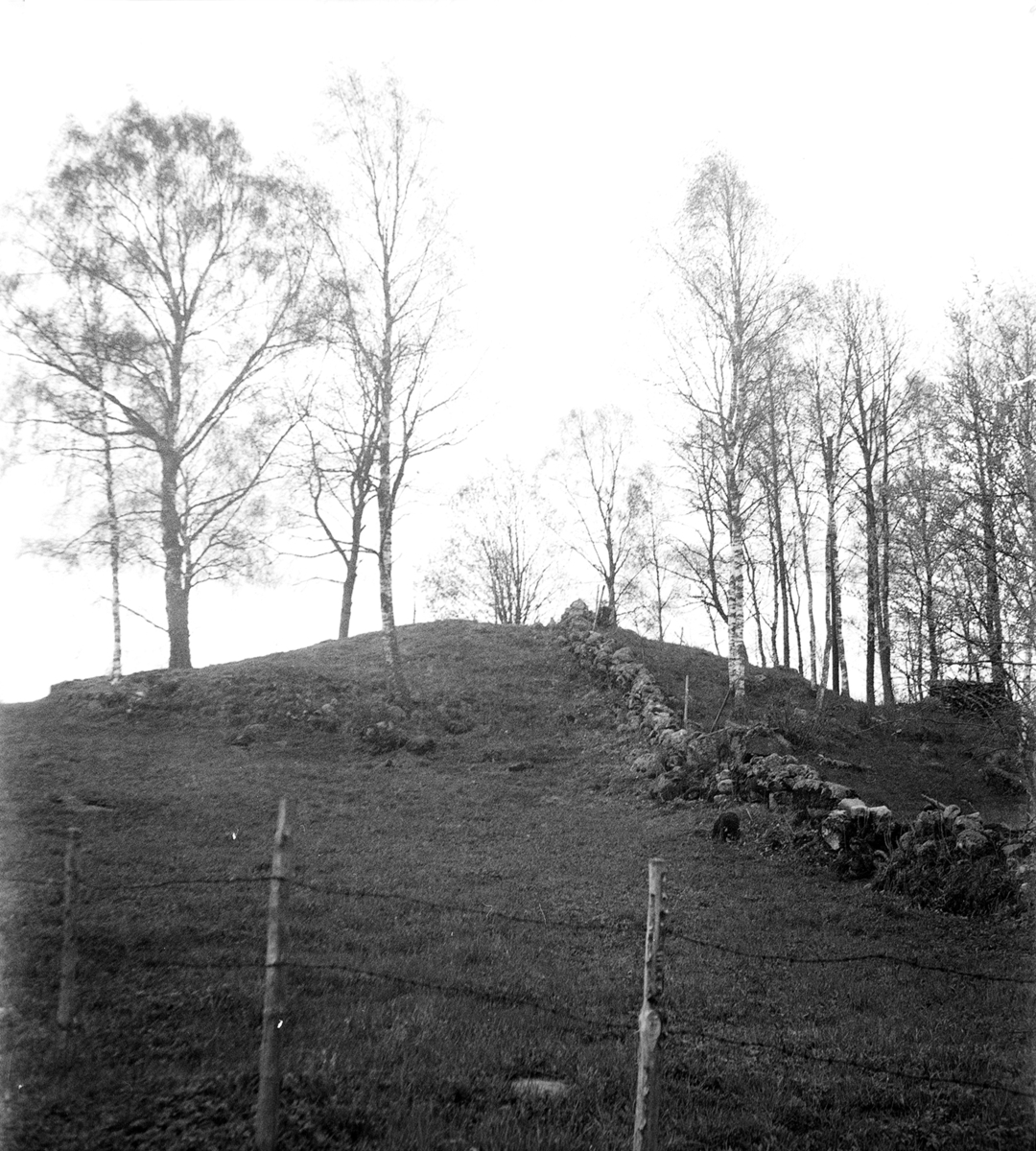 Nolgården. Gravhög (odlingsröse?) i ängsmark, ca 200 m öster om gården. Nr. 30 i H. Svenssons inventering.