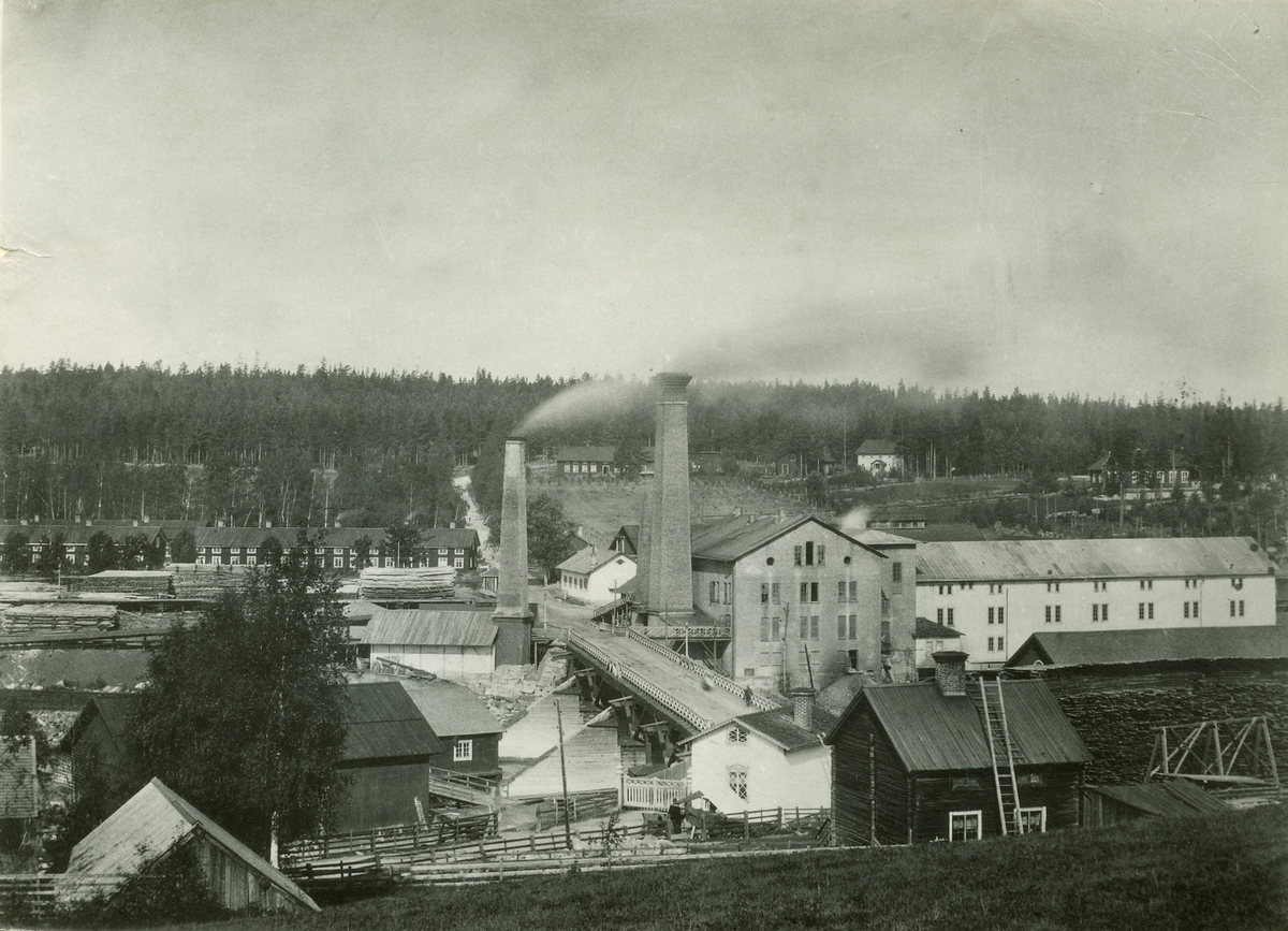 Bergviks gamla sulfitfabrik.