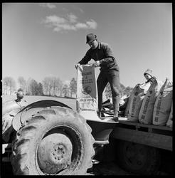 Jordbruk. På våren.