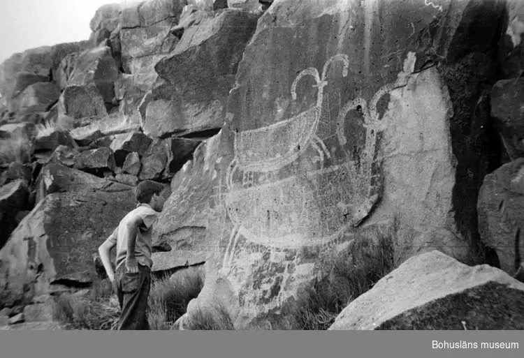 Ristning på bergvägg, Big Petroglyph Canyon, Kalifornien