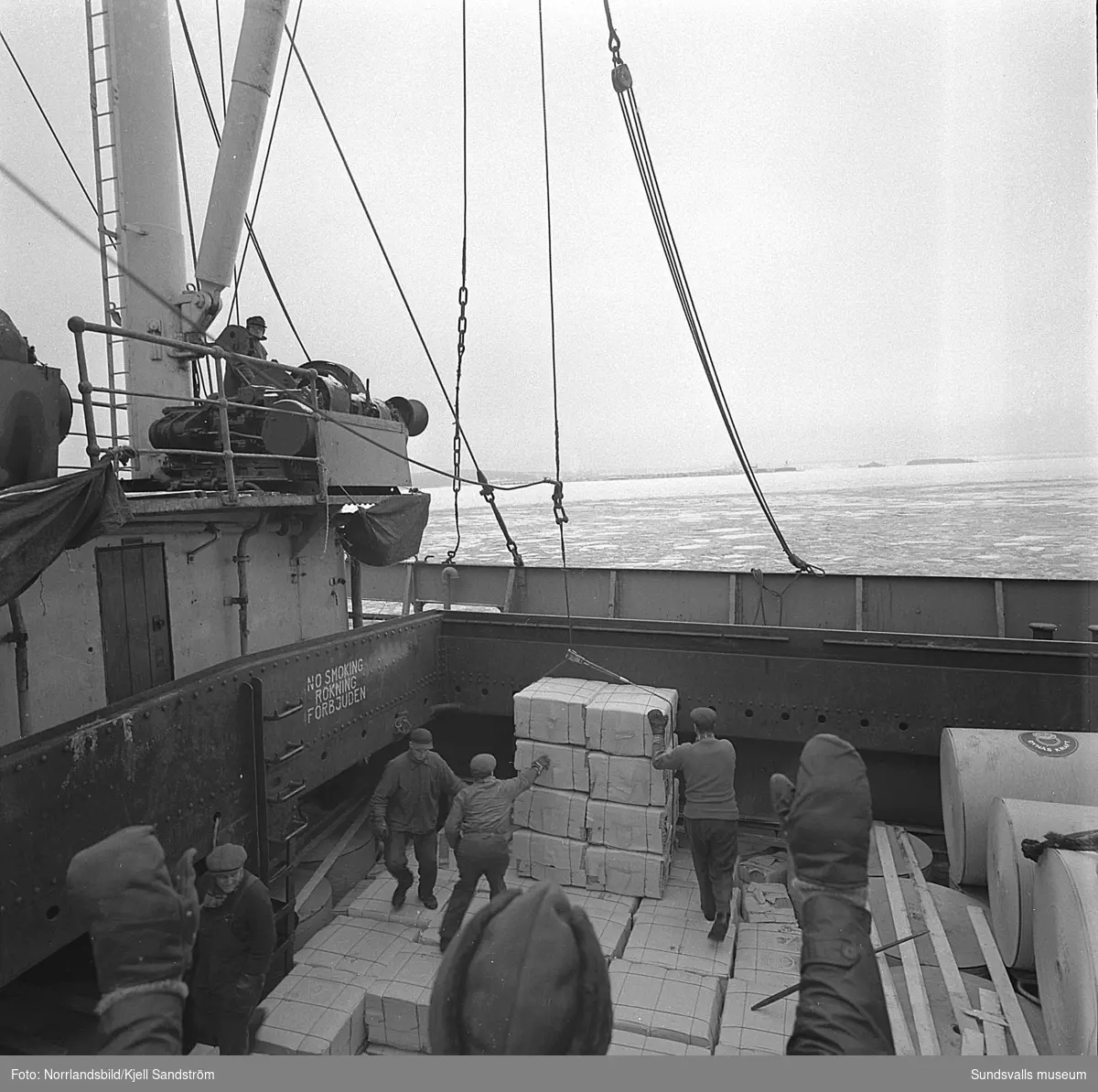 Stuveriarbetare lastar pappersbalar vid Vifsta-Östrands kaj.