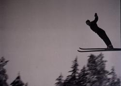 Hopping i Persløkka