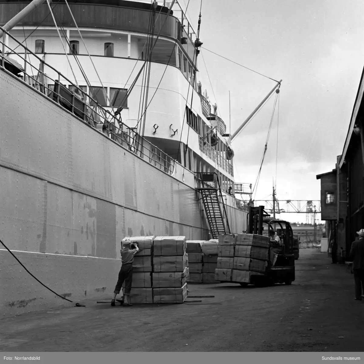 Bilder till ett reportage om exporten vid Östrands pappersfabrik. En båt lastas med massabalar, stuveriarbetare har matrast.