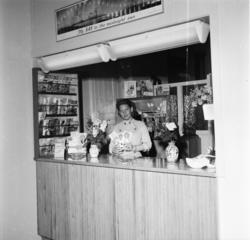 Vardens arkiv. "Statsbanene åpnet nytt reisebyrå i Skien. (N