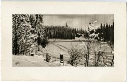 Postkort. Vinterlandskap med skog og kirkespir.