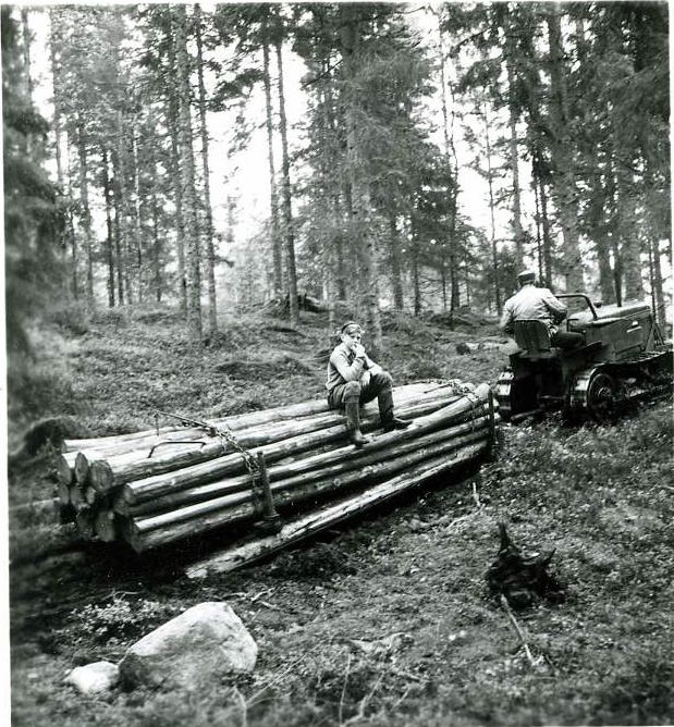 Skogsarverkning på någon av AB Papyrus skogsfastigheter i Västsverige år 1952. Okänd pojke sitter på en timmerlast. Man på bandtraktor.