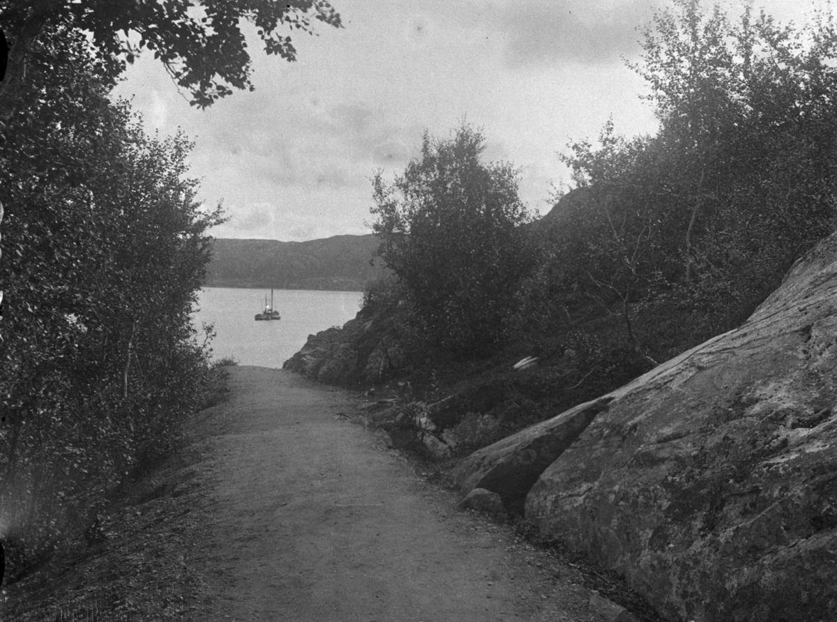 Et landskapsbilde fra Kirkenes. En grusveg ned til fjord. Seilbåt på fjorden.  Bjørketrær på begge sider av veien.