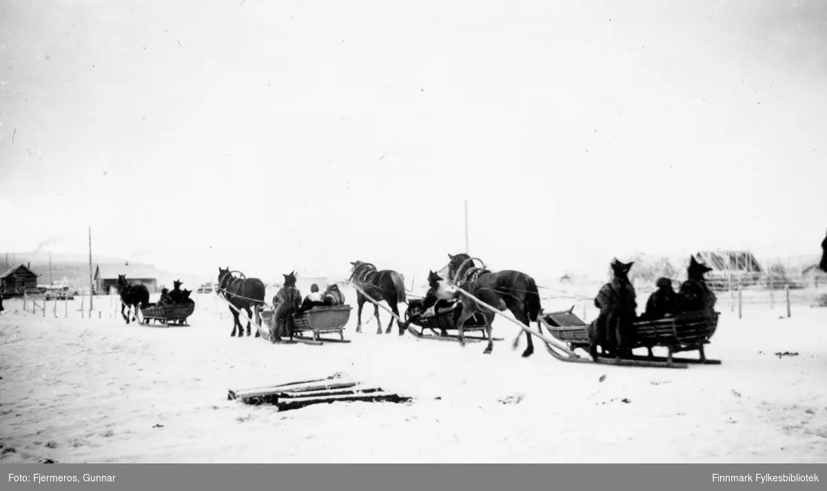 Fotografi av et samebryllup der følget er på tur bort med hestesleder. Personer og sted er ukjent, men bildet er tatt i november 1946.