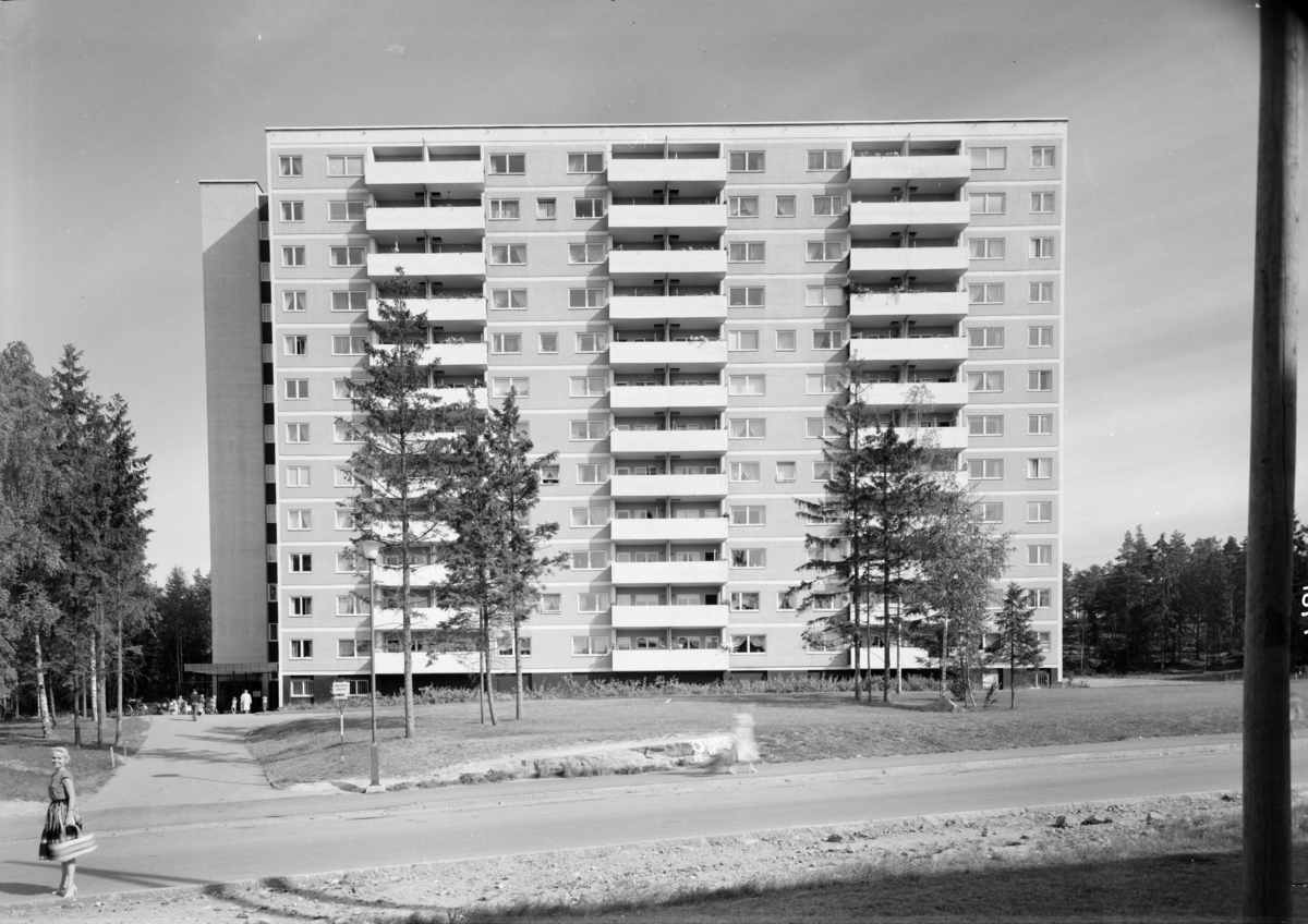 Bøler-Bølerlia - DEXTRA Photo / DigitaltMuseum