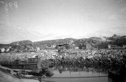 Knudtzonholmen og Devoldholmen i Vågen forbindes her til fas