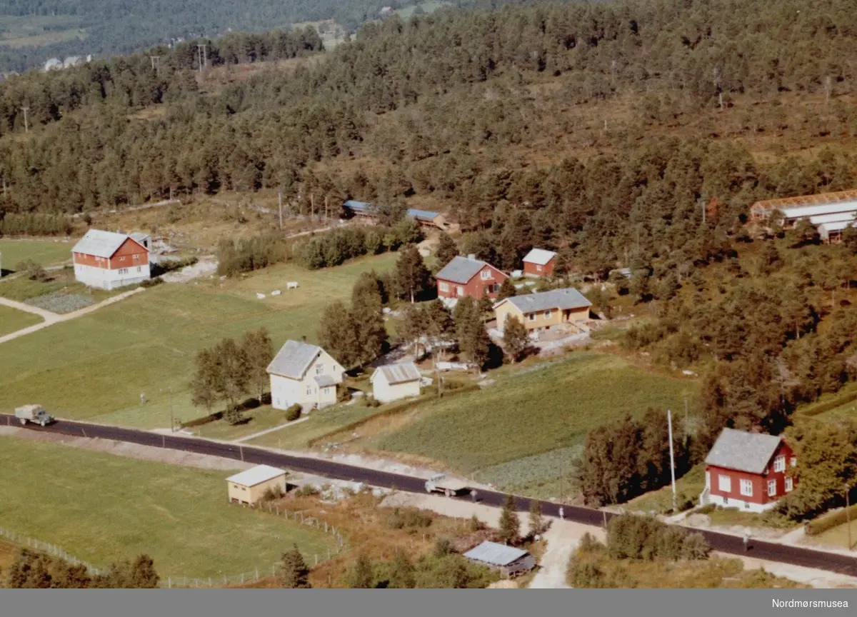 Flyfoto fra Bergheim på Tingvoll. Bildet er datert 30. juli 1963, og fotograf er Widerøe's Flyveselskap a/s. Fra Nordmøre Museums fotosamlinger.
