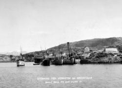 Gruppebilde.
 losje? medaljer, Forrest til venstre:
 Storvik