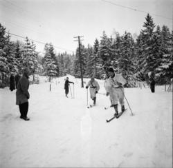 Vardens arkiv. "Politimesterskapet"  10.02.1954