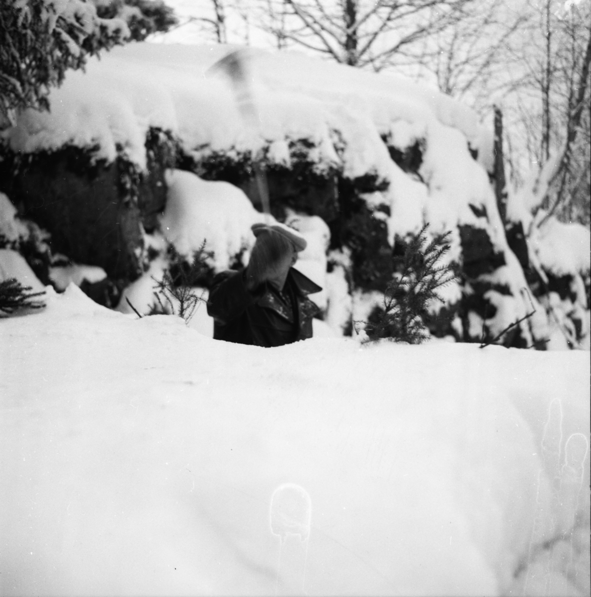 Vardens arkiv. "Politimesterskapet"  09.02.1954