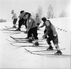 Vardens arkiv. "Skiskolen begynner"  08.02.1954