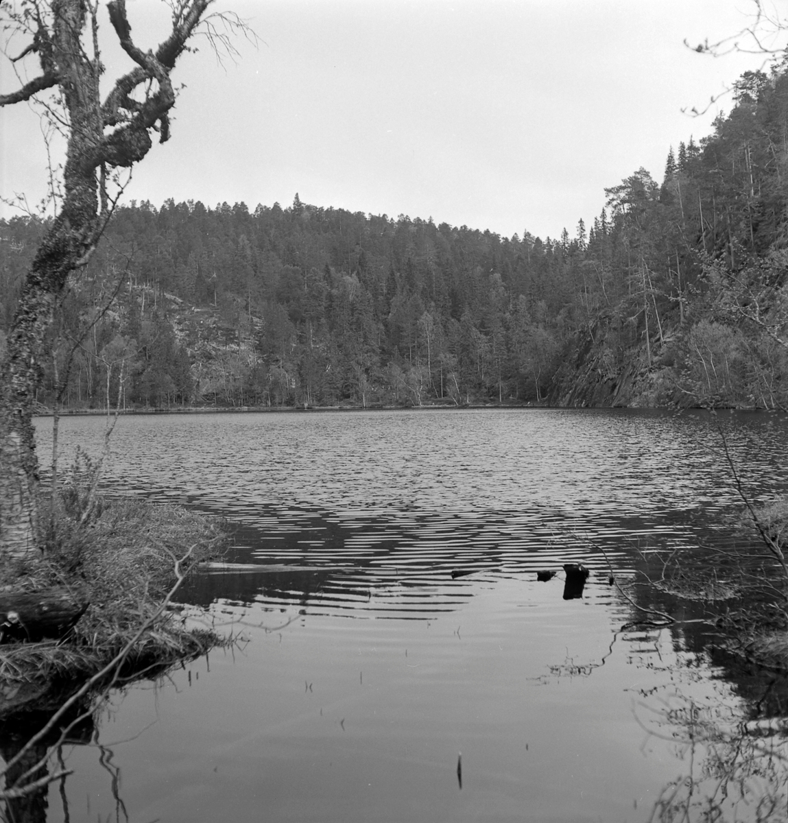 Nygårdsvollen ved Hommelvik