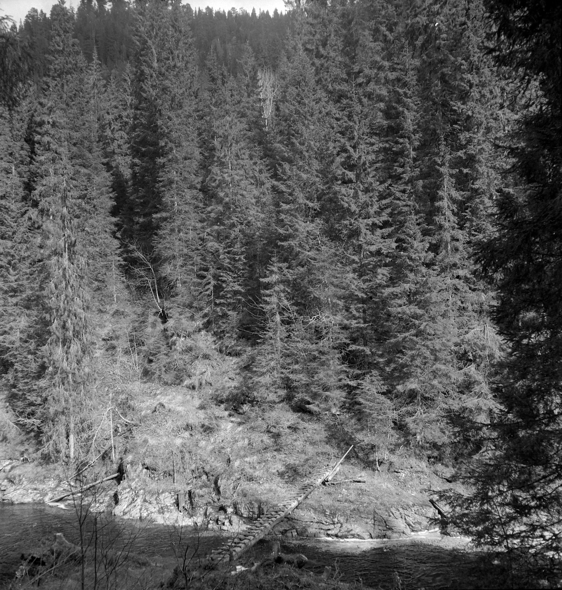 Nygårdsvollen ved Hommelvik