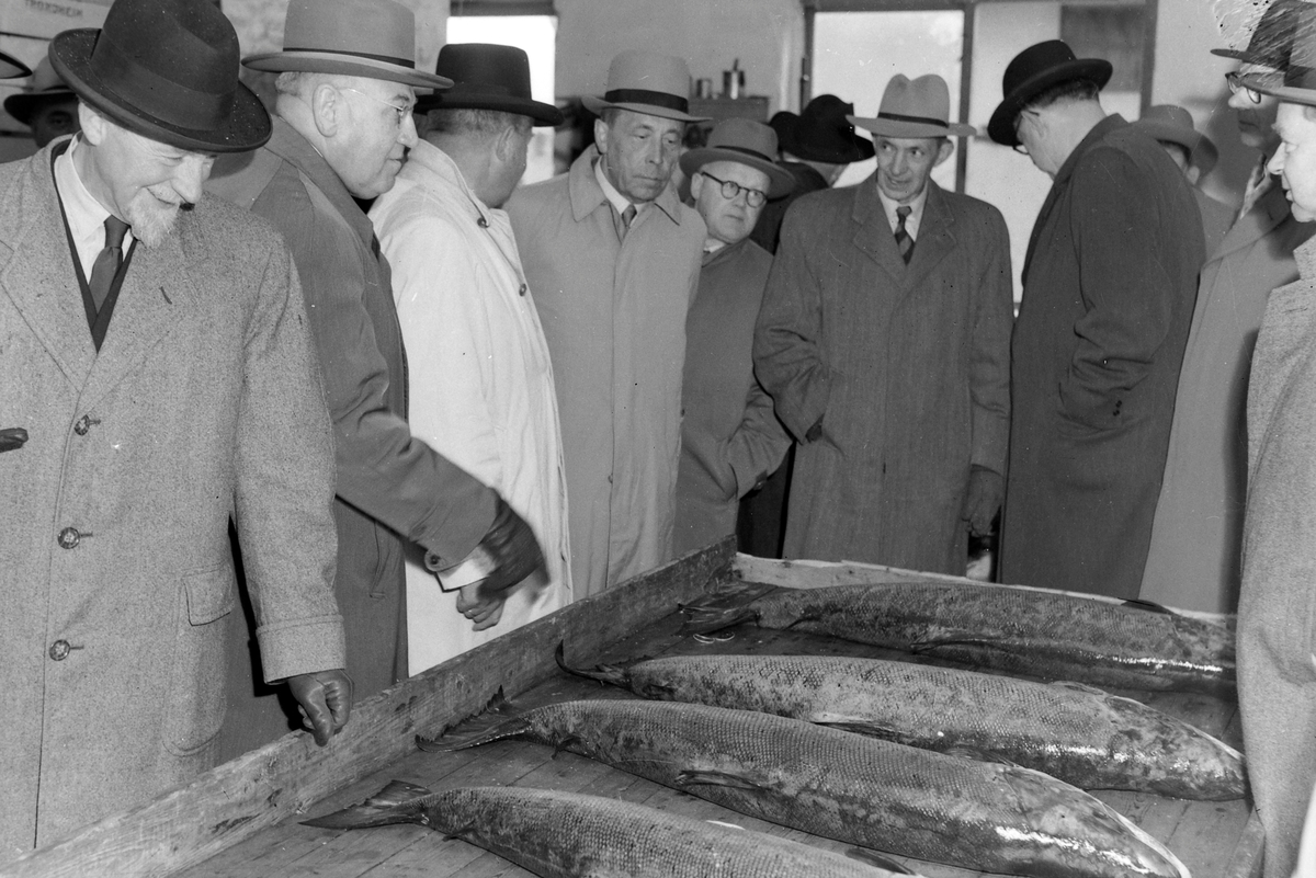 Utenlandske gjester på Kjølelageret i Trondheim