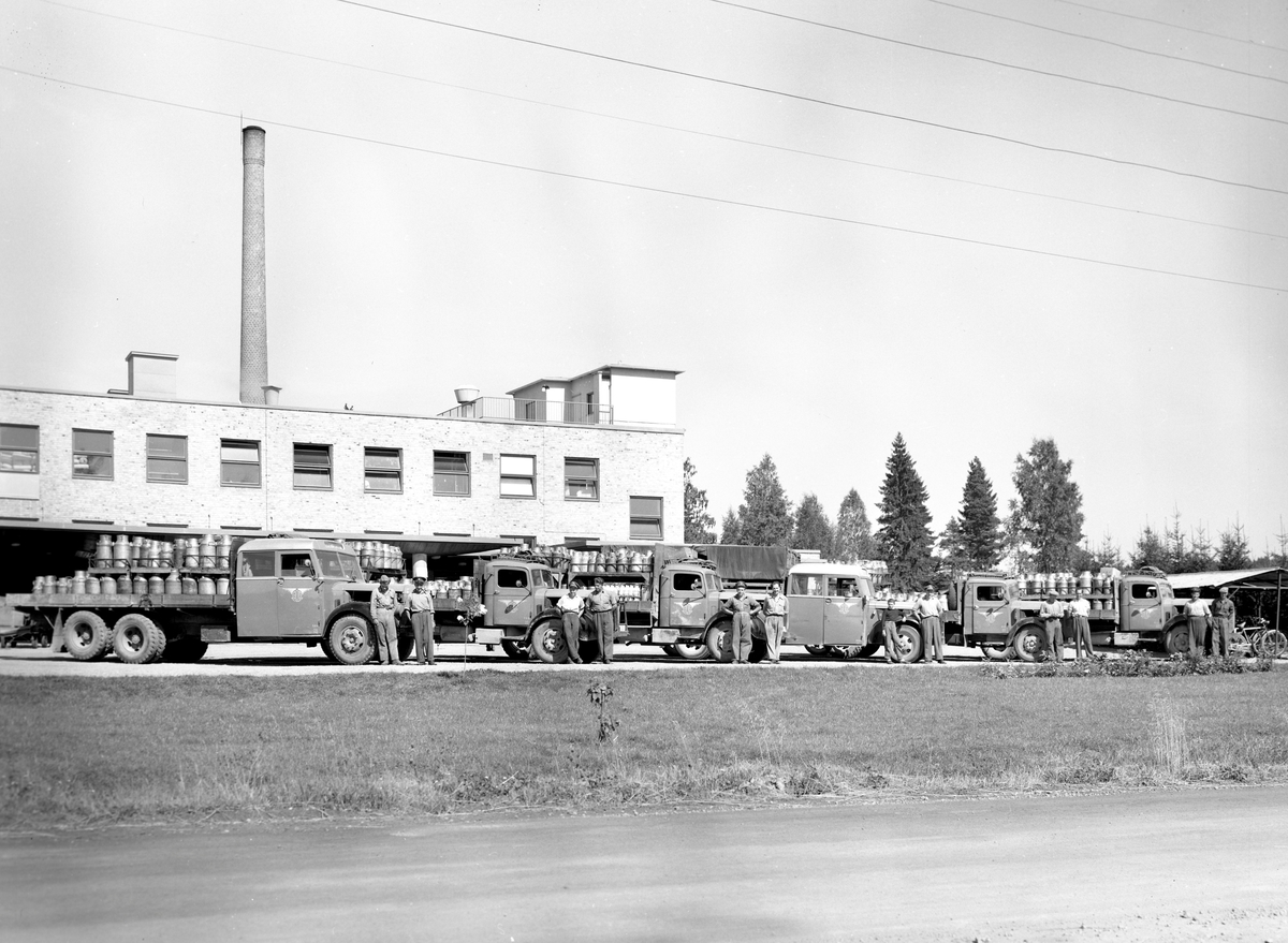 GDG:s flotta av mj&ouml;lkbilar vid Arvika mejeri 53-08-14.