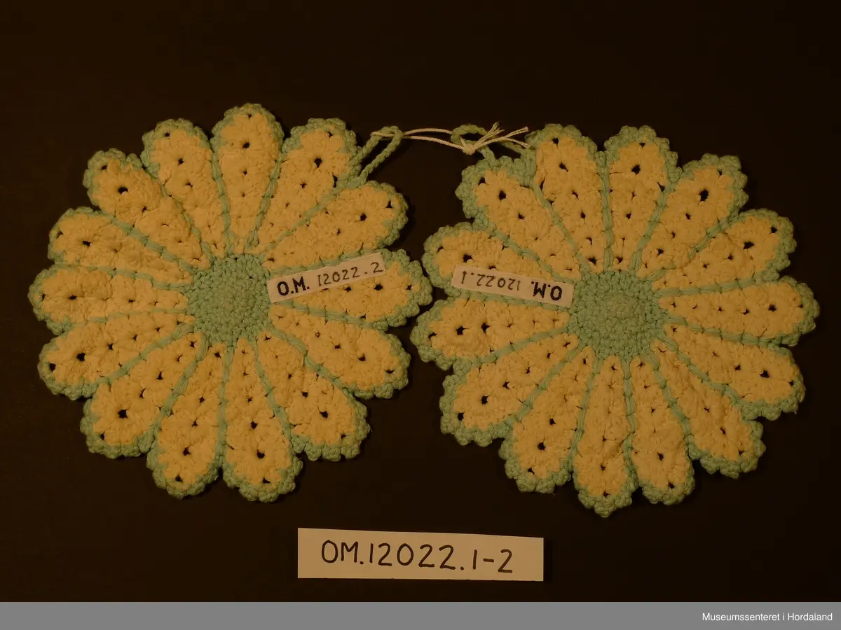 Runde grytelappar med 14 "kronblad" , kvart kronblad endar i ei "tunge". Blada er kvite og delte opp med lysgrønt som og ligg langs tungekanten., midten er lysgrøn. Hempe i luftmasker