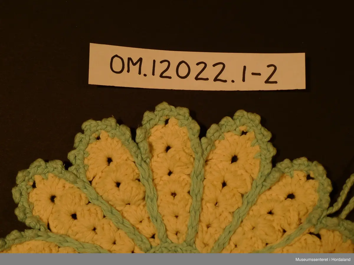 Runde grytelappar med 14 "kronblad" , kvart kronblad endar i ei "tunge". Blada er kvite og delte opp med lysgrønt som og ligg langs tungekanten., midten er lysgrøn. Hempe i luftmasker