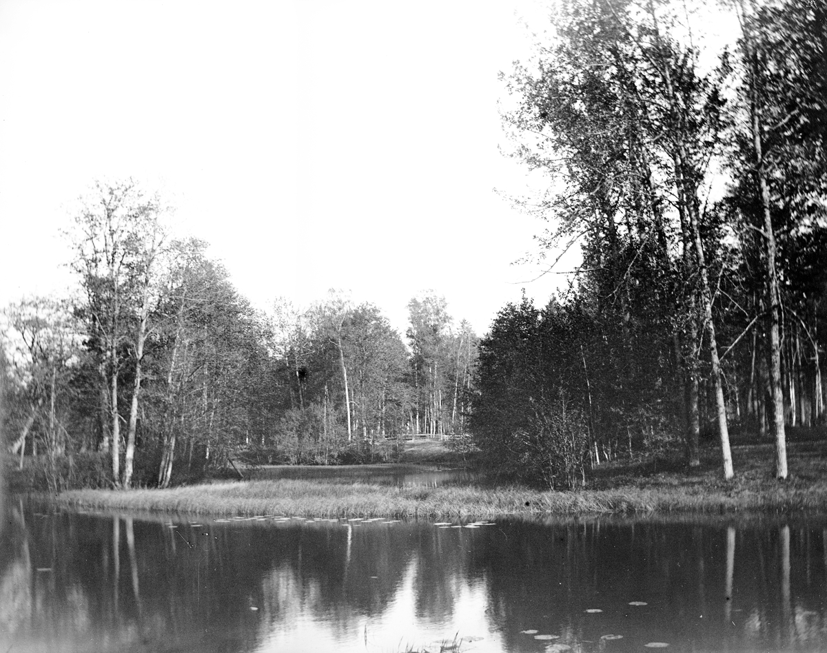 Vy av parken vid ån. Den 18 juni 1899