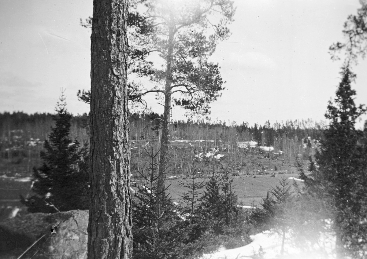 Utsikt mot Bergendal. Den 23 april 1909.