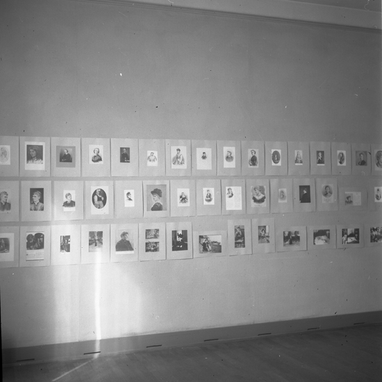 Christina Nilssons samlingar på Smålands museum.