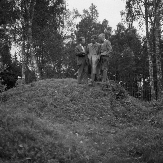 Tre män på en kulle under en utflykt.