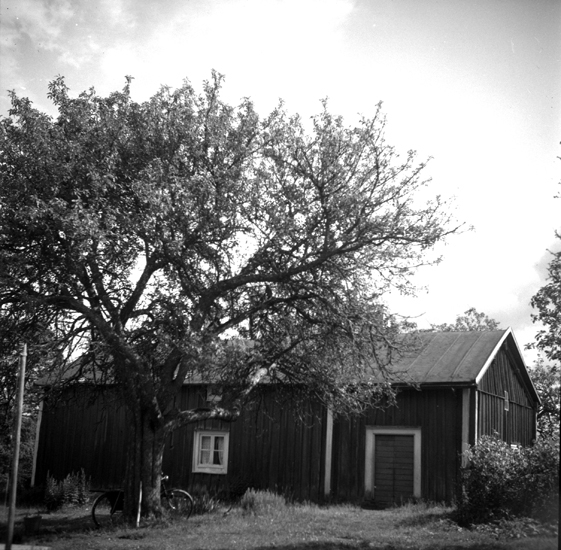 Foto på ett bostadshus med  träd framför och en cykel 
står lutad mot trädet.