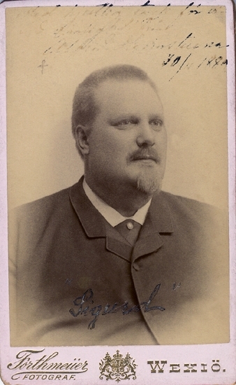 Porträtt (bröstbild, halvprofil) av en man med skägg. Han är klädd i mörk kavaj, (knäppt upp i halsen) och vit skjorta med mörk slips/spännhalsduk. På slipsen syns en slipsnål. 
Längst upp på fotot syns rester av en otydlig text: "Med hjertligt tack för visad venlighet (?),  Alfred Hedenstierna, 30/11 1889."

Alfred Hedenstierna (1852-1906), redaktör, skriftställare. Medarbetare i Smålands-Posten under många år. Huvudredaktör 1890-1898. Medförfattare till sången "Vart hjärta har sin saga." Flyttade senare till Stockholm, där han var fortsatt verksam som journalist 
och skriftställare.
Källa: Svensk Adelskalender 1904, m.fl.