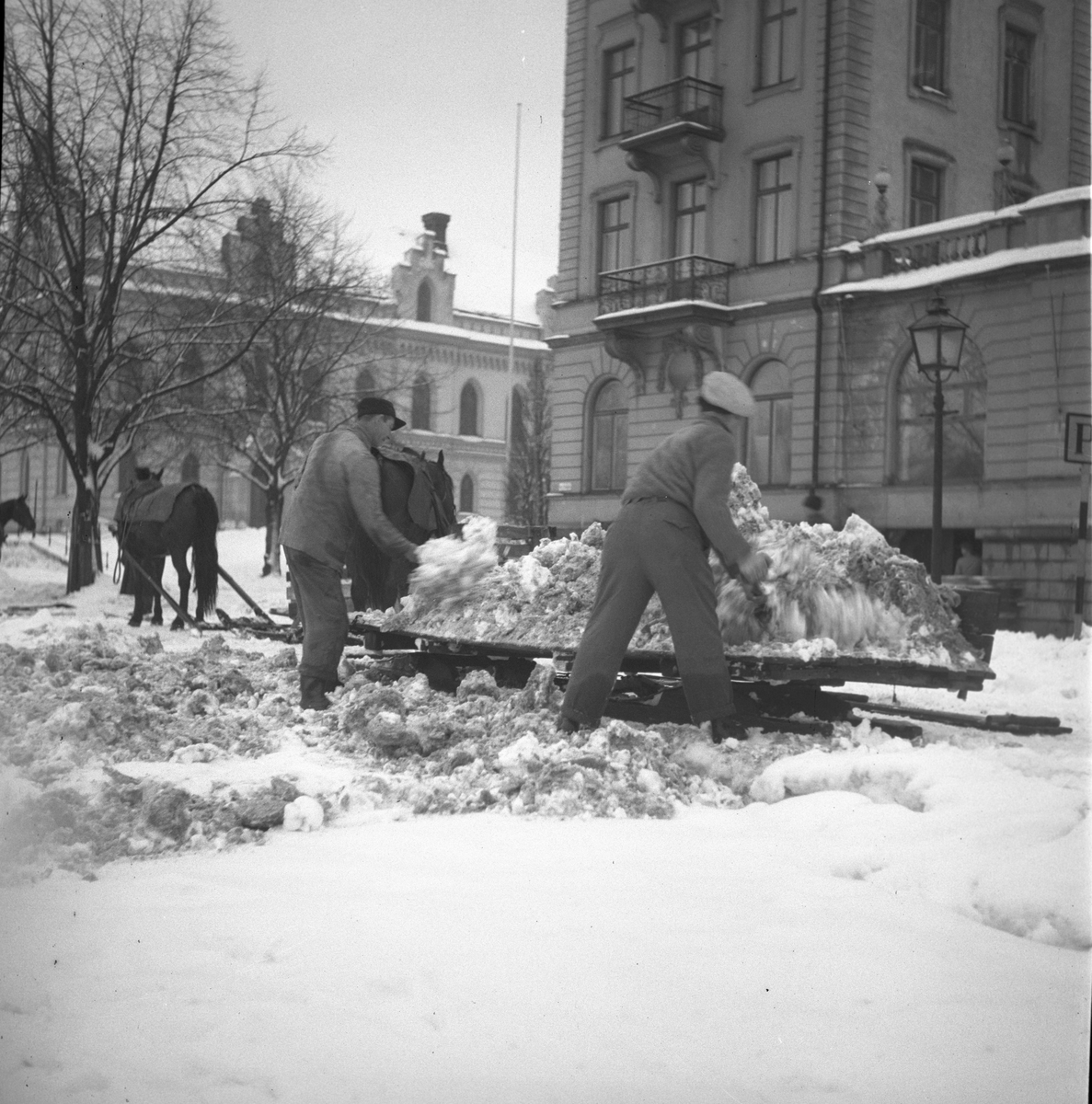Vintern 1953. Herr Svensson från Smedjegatan 16 a, skottar snö. Februari 1953
