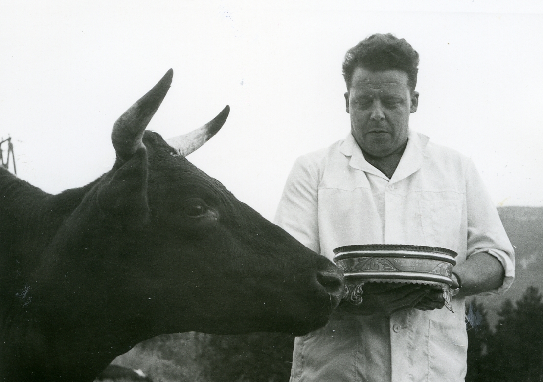Jostein Nordby tek imot Seljordprisen for kua "Grete" i 1971.