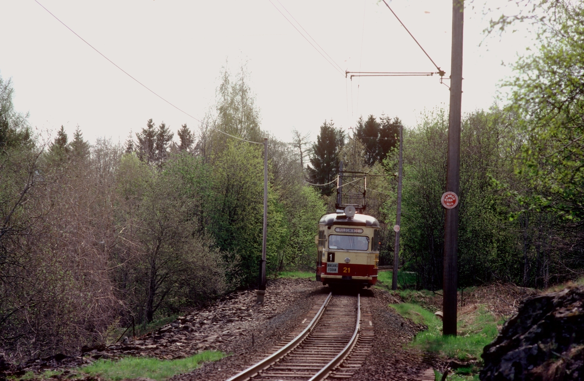 Trondheim trafikkselskap. Gråkallbanen. Vogn 21 i linje 1 på vei mot Voldsminde.