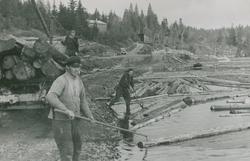 Tømmerfløting på Ringerike 1951