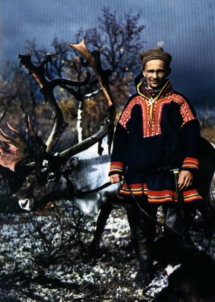 Postkort, Mann i samedrakt med reinsdyr. Norsk
Folkemuseum.