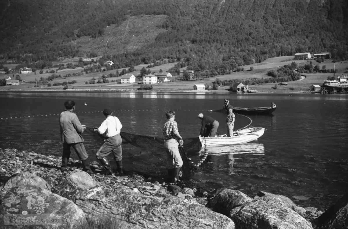 "Tur til Ålesund i pinsa 1960" .Tomrefjorden. Frå Frostad mot Tomra.