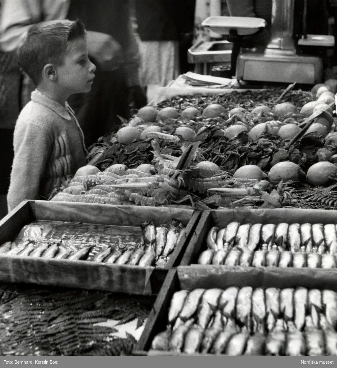 Pojke vid grönsaksstånd. Les Halles, Paris, Frankrike.