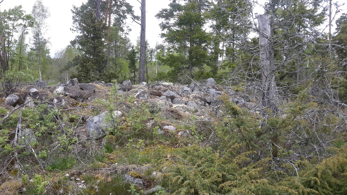 Arkeologisk utredning, Målsta, röse Raä 98, Husby-Långhundra socken, Uppland 2015