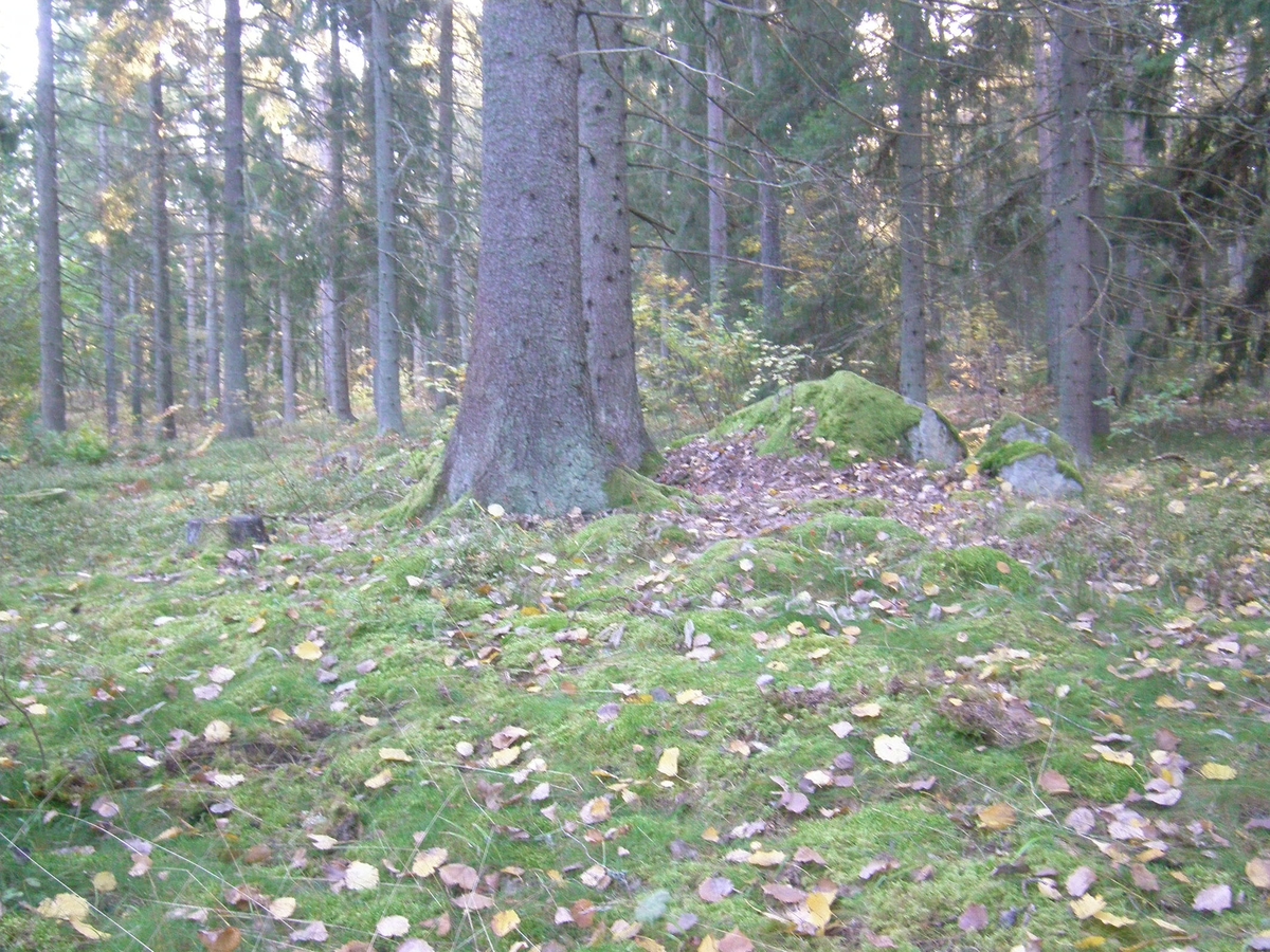 Arkeologisk utredning, stenpackning anslutande till stensättning objekt 202 , Rimbo-Tomta, Rimbo socken, Uppland 2015