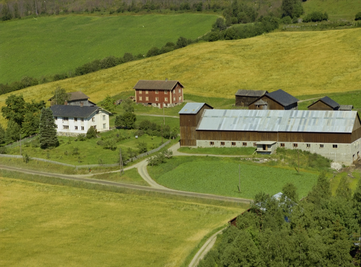 Leikvam. Gårdsbruk. Hvit bygning med hage, brun bygning, lang driftsbygning, påbygd silo. Flere mindre hus. Åkrer.
