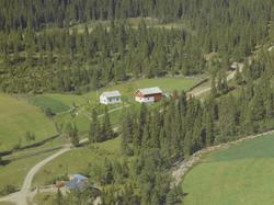 Solhaug, småbruk, Svatsum, Vestre Gausdal. Granskog